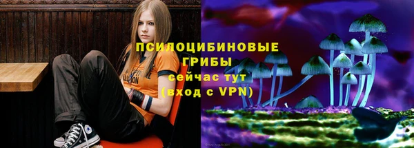 ешки Нефтекумск